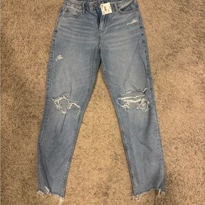 American Eagle Outfitters Denim Jeans Strigid Mom Jean 4 Regular